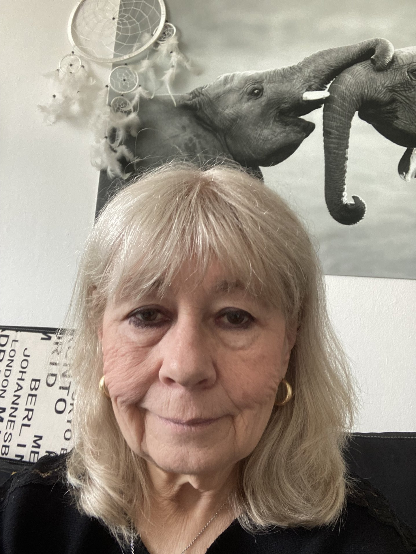Foto 1