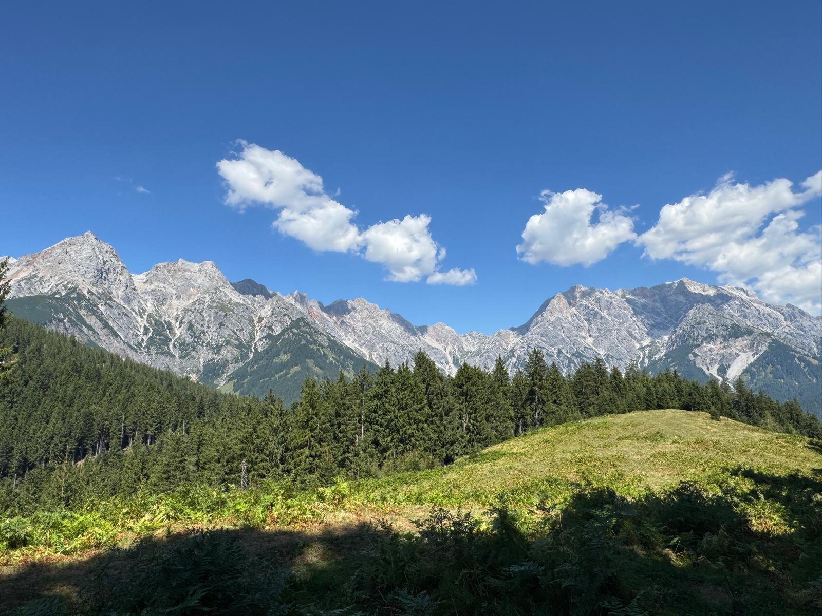 Foto 4