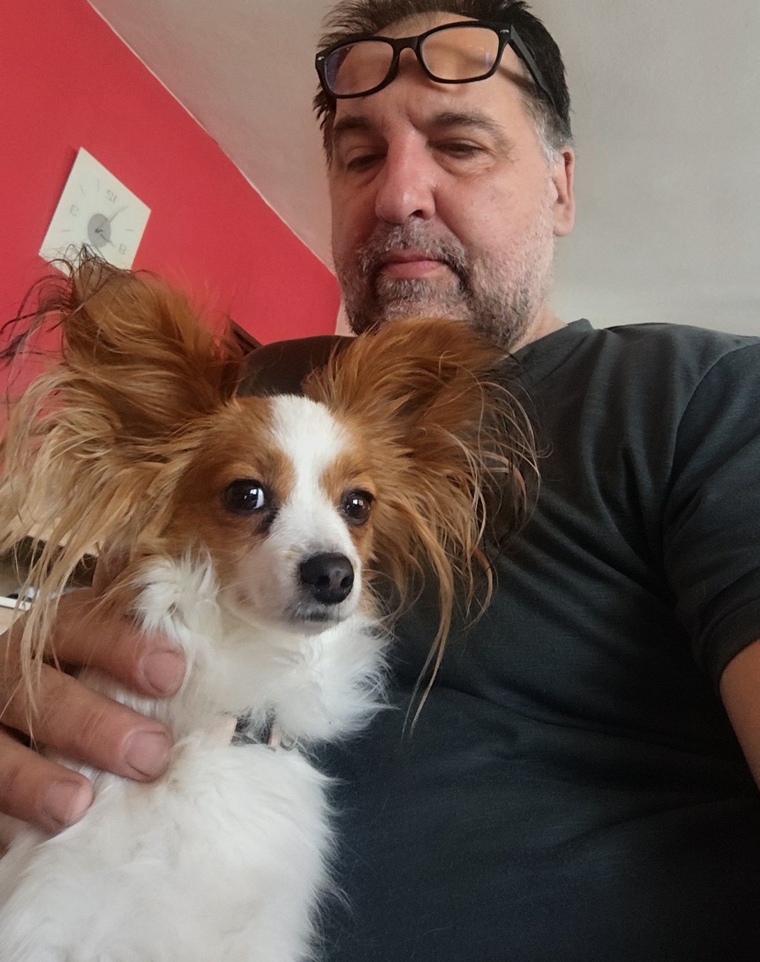 Foto 1