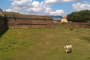 Seznámení s lobul