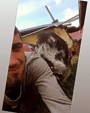 danda420