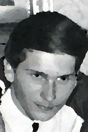 Seznámení s Tozin
