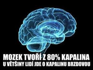 Seznámení s allbik