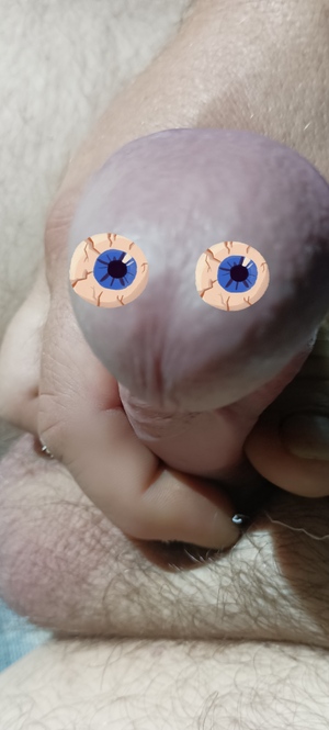 Seznámení s damianul