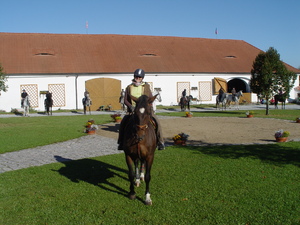 Seznámení s Alochtona