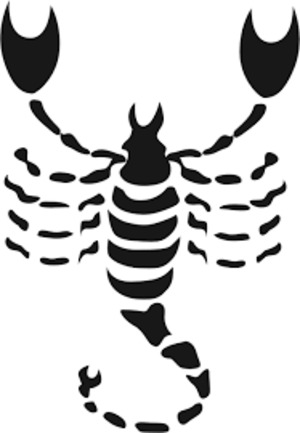 Seznámení s Pa45