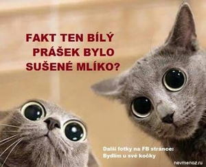 Seznámení s smailik