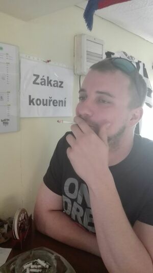 Seznámení s Wally