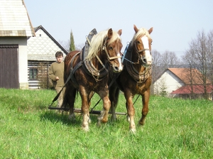 Seznámení s pepanjv
