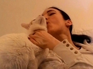 Seznámení s MissElis