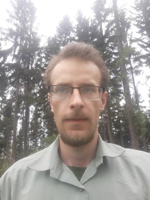 Krtajs