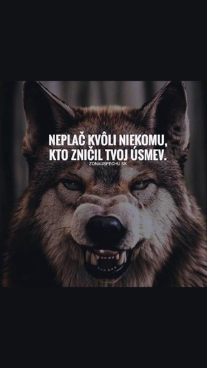 Seznámení s Beruska22