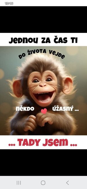 martinak11