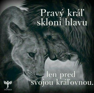 Seznámení s Tomass7