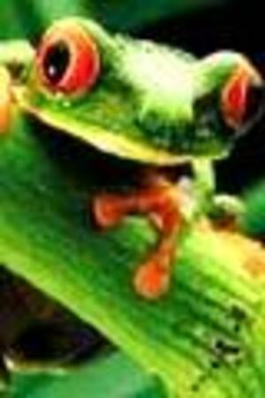 Seznámení s mydracek