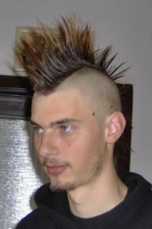 Seznámení s punk