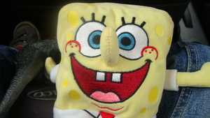 Seznámení s spongebob