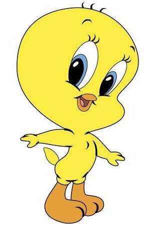 Seznámení s tweety46