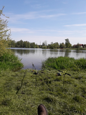 Veny44
