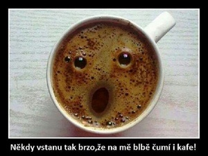 Seznámení s baron7
