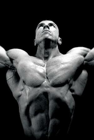 Seznámení s bodybuilder4