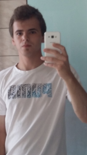Seznámení s raywiik