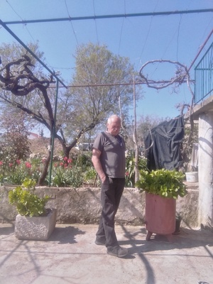 Seznámení s Aiwi