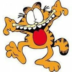 Seznámení s Garfield1989