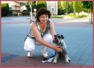 SVICE