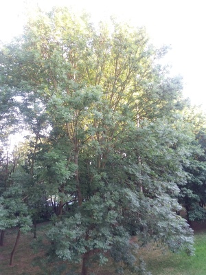 Seznámení s m231