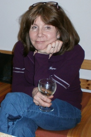 Seznámení s Iva2013