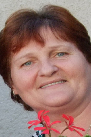 Seznámení s sedan