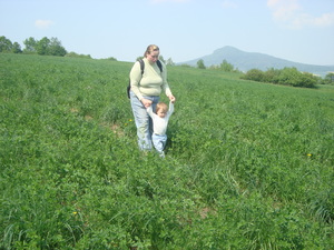 Seznámení s wewerka2000