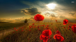 Sandy_60